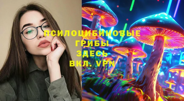 стаф Беломорск