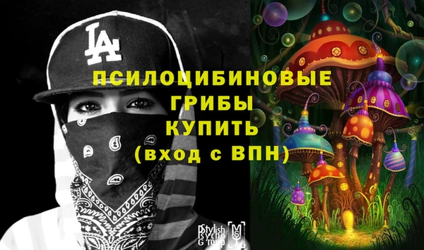 меф Белокуриха