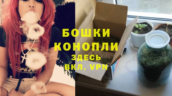 стаф Беломорск