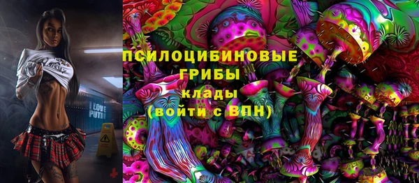 меф Белокуриха
